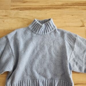 Wilfred Light Blue Turtleneck Sweater